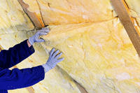 batts in the attic, Boston, Cordaville MA